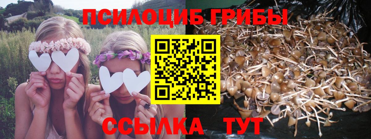 Псилоцибиновые грибы Psilocybe  Псилоцибиновые грибы Psilocybe  Вход с VPN  Богородск 